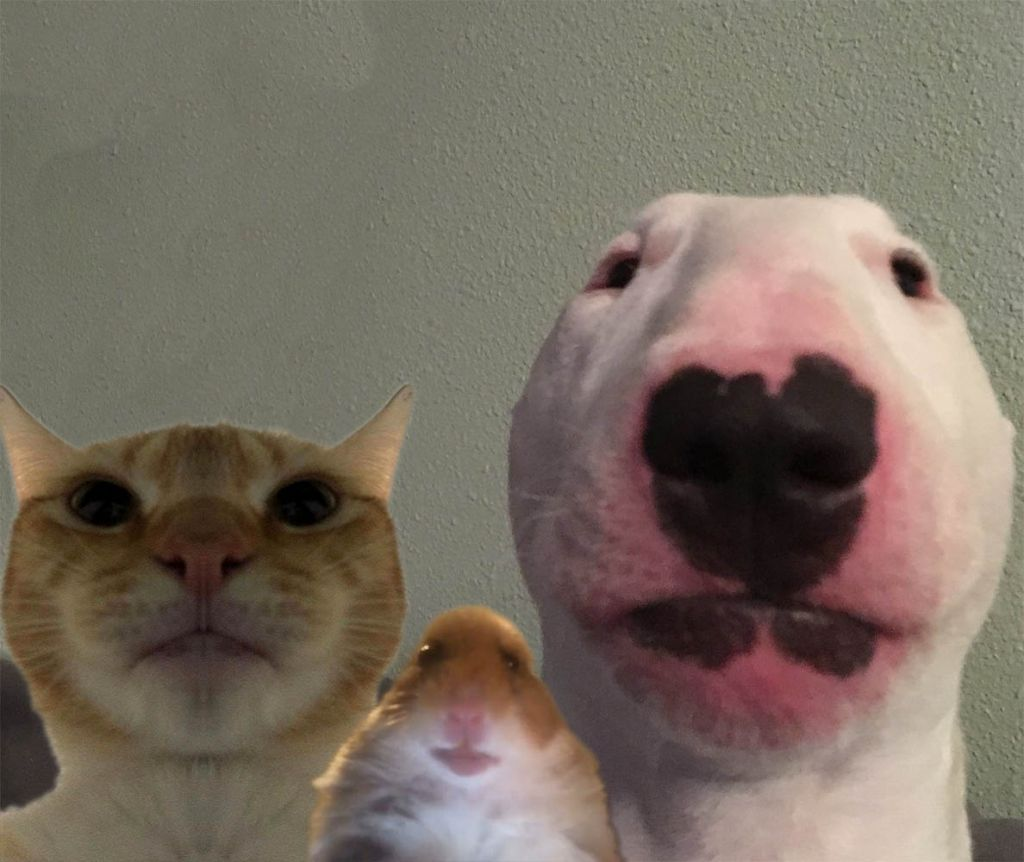 Пример фото как не нужено делать 