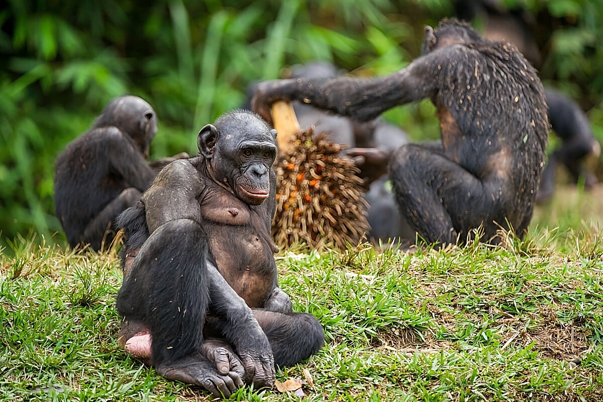 «Не буду работать, не моё это!»