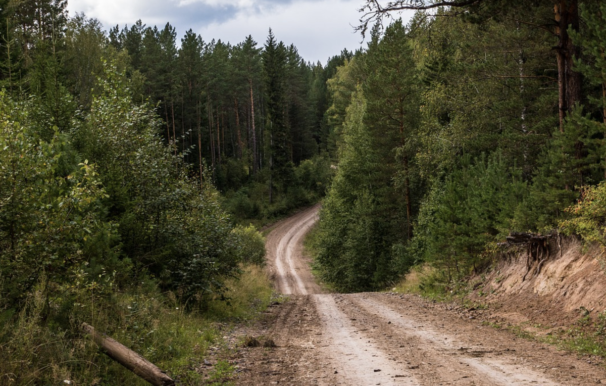 Siberia 2023. Благовещенский район тайга зимой. Транссибирская магистраль. Тайга ехать. Транссибирская магистраль ржд.