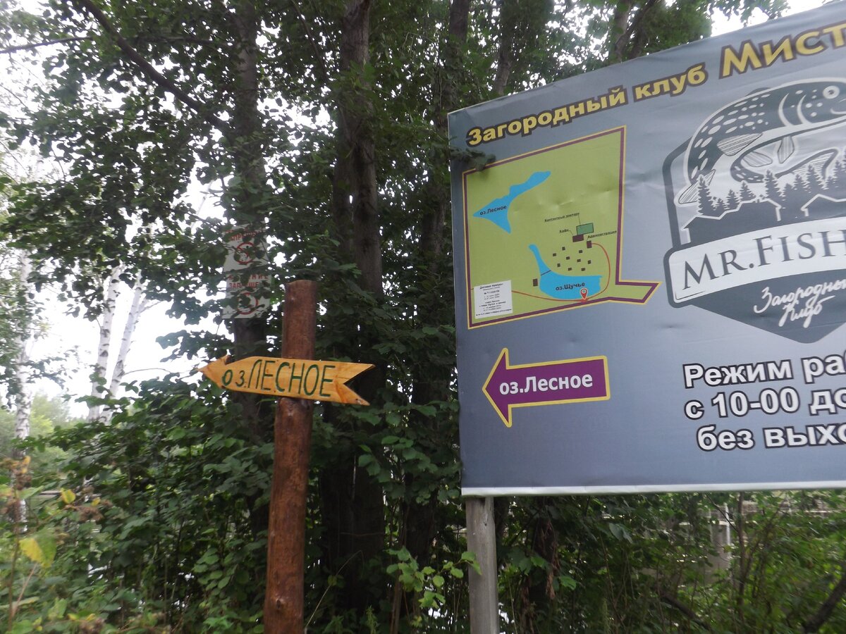 Указатель к озеру Лесному