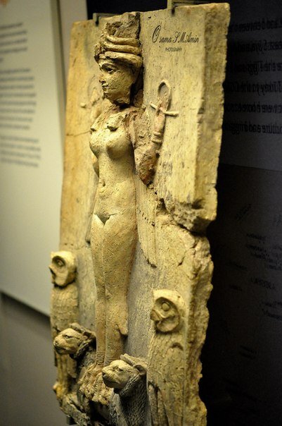 ����� (������, �����)