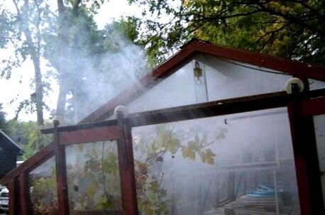 выкуривание вредителей