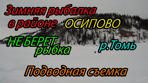 Зимняя рыбалка или как мы ловили рыбу на камеру, р.Томь