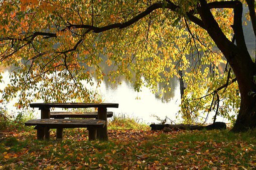 фото взято с сайта https://pixabay.com