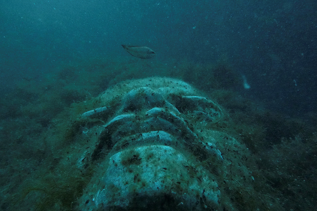 Подводные фото черного моря