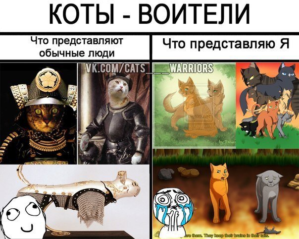 Коты Воители