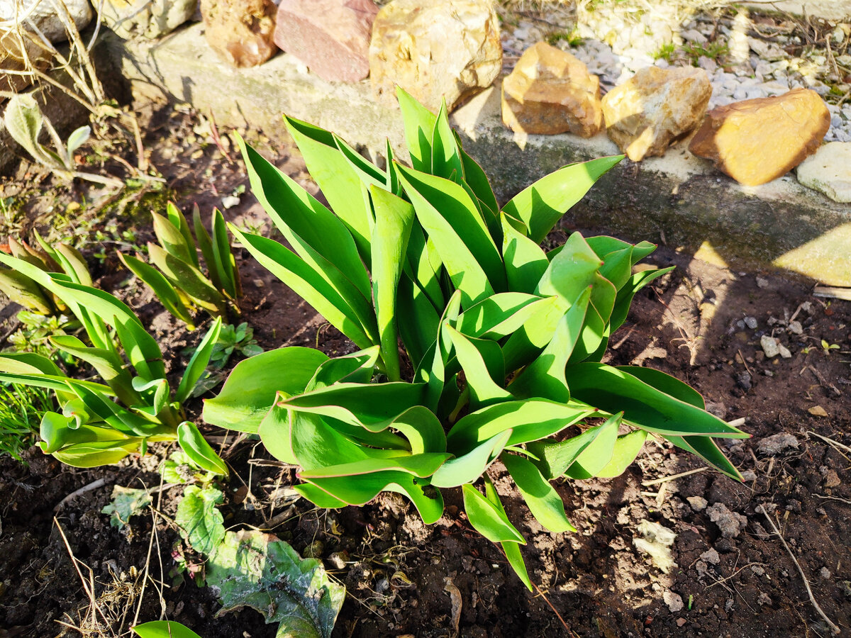 Собственное фото