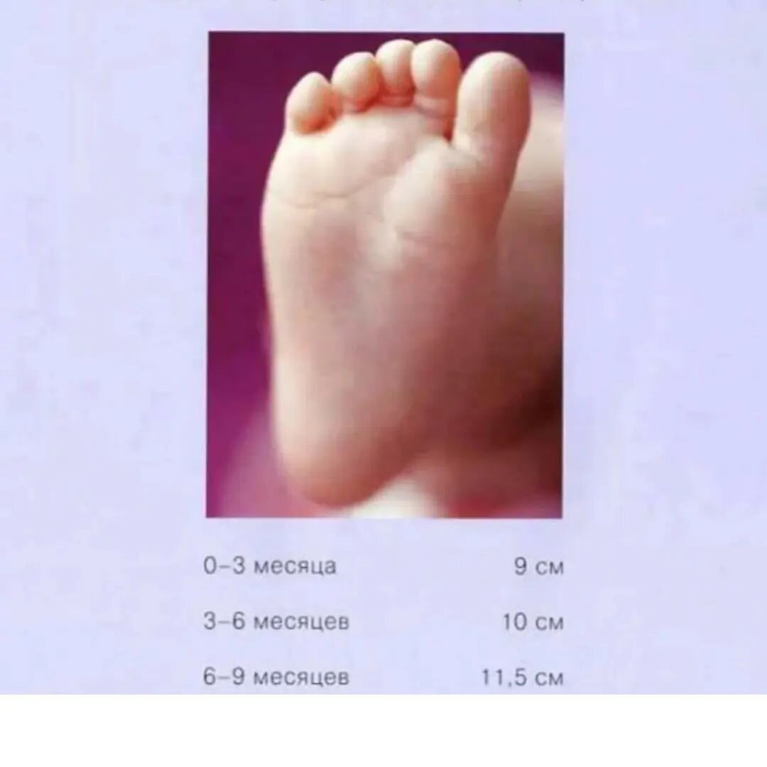 Размер ноги у годовалого. Размер ножки у младенцев. Раз пер ноги новорожденного. Ножка новорожденного размер. Размер ноги у новорожденного ребенка по месяцам.