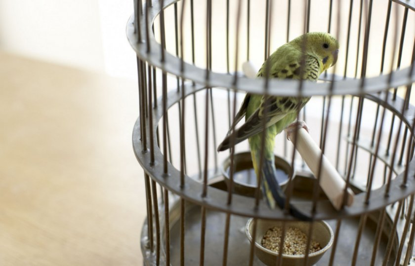 Человек, какое плохое зло я тебе сделал? Я просто хотел с тобой общаться...