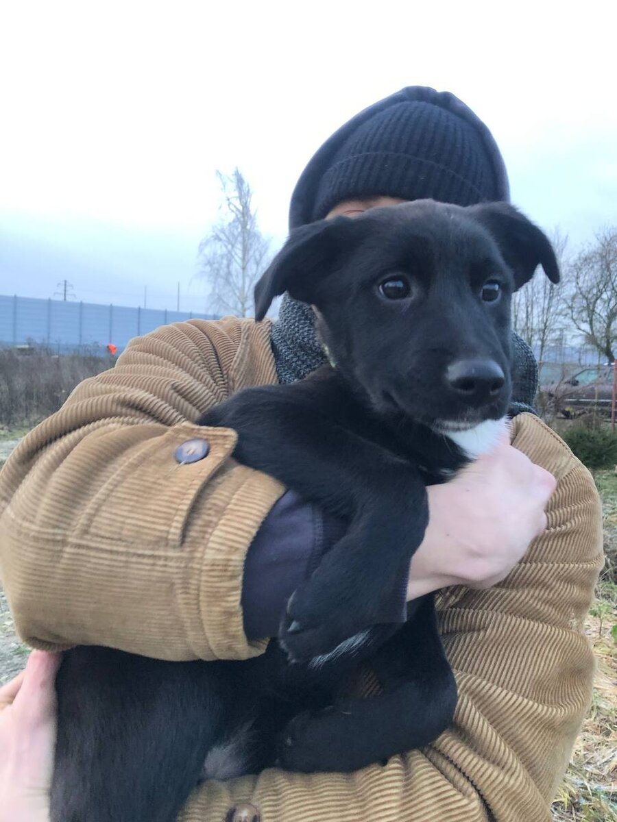 Первое фото :)