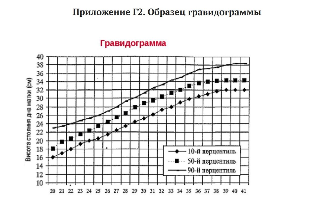 Когда начинает расти живот при беременности | Темп роста живота у беременных