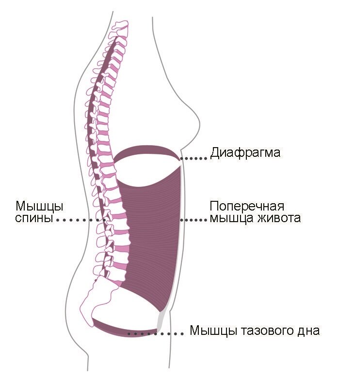 Опущение и выпадение половых органов | Центр Дикуля