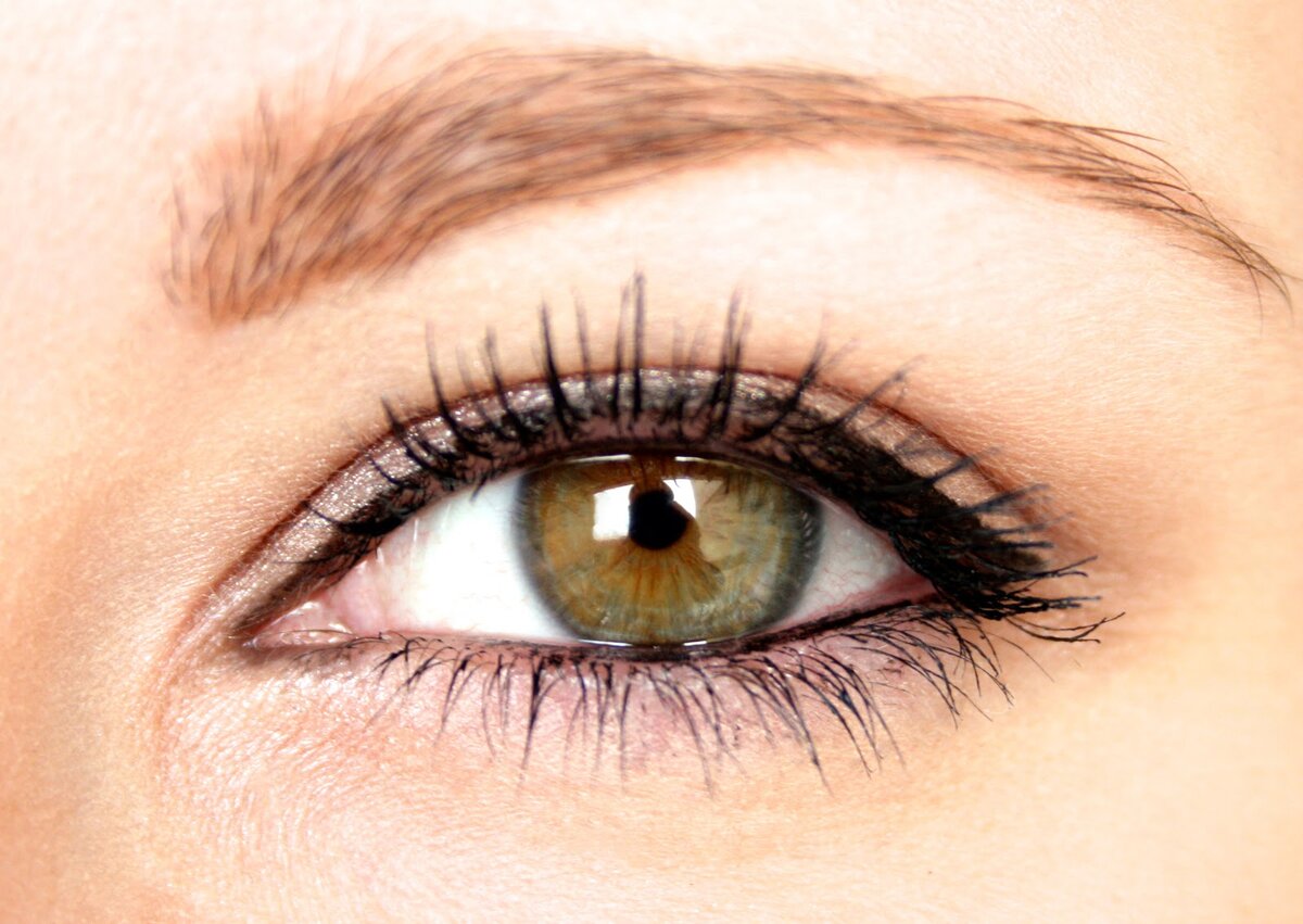 Глаза разных цветов и их названия: какой цвет глаз самый популярный? |  ZENFashion: об индустриях красоты и моды | Дзен