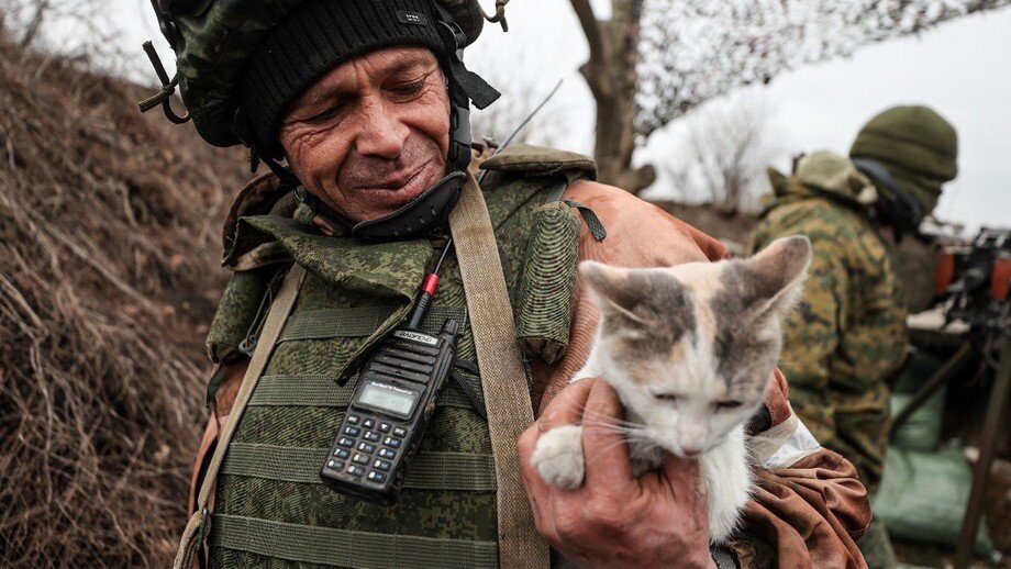 Фото: ТАСС / Сергей Бобылев