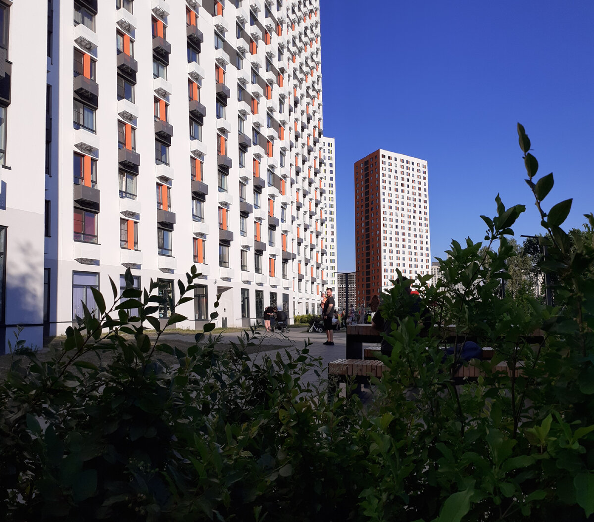 Улица Сходненская в Путилково. Листайте галерею. Все фото - автора