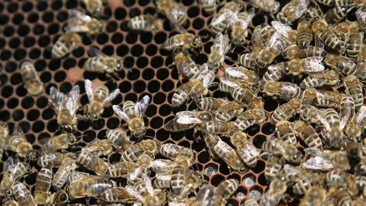    Фото: Владимир Смоляков / Вечерняя Москва