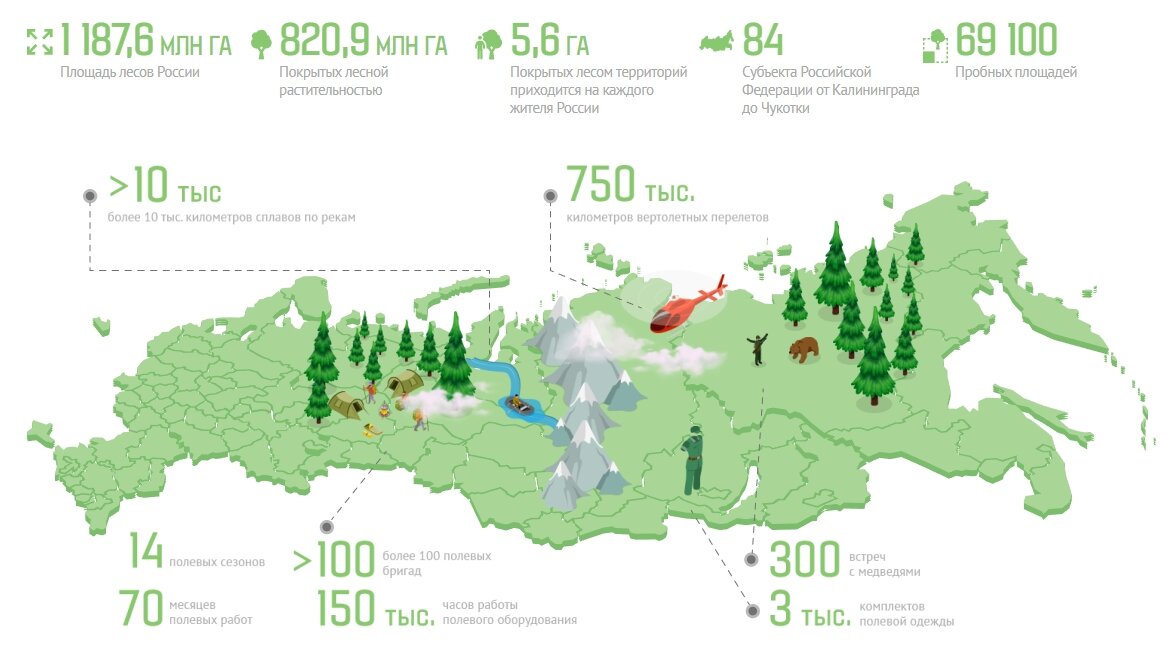 Рослесинфорг карта лесов