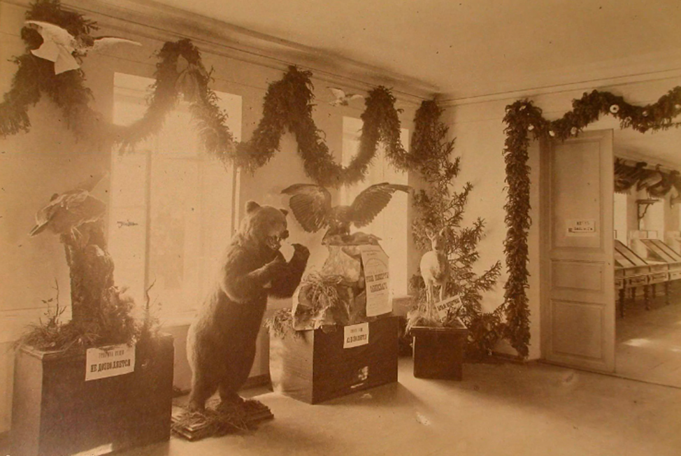 Фото из интернета. Музей УОЛЕ открылся в 1888 году в одном из зданий Горного ведомства. Это было огромное по тому времени собрание памятников природы и истории Урала (например, зоологический отдел насчитывал 6500 экспонатов).