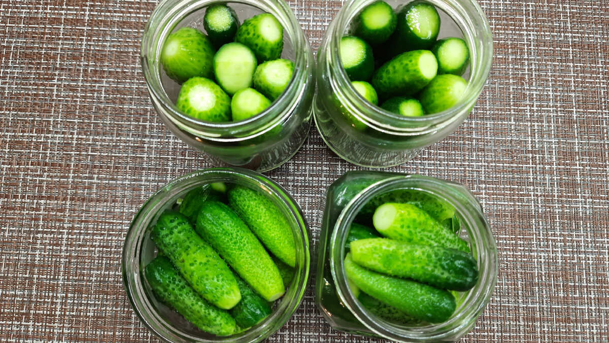 какие огурцы кладут в солянку. растения для засолки огурцов. солёные огурцы польза. какие огурцы кладут в солянку. солянка с огурцами.