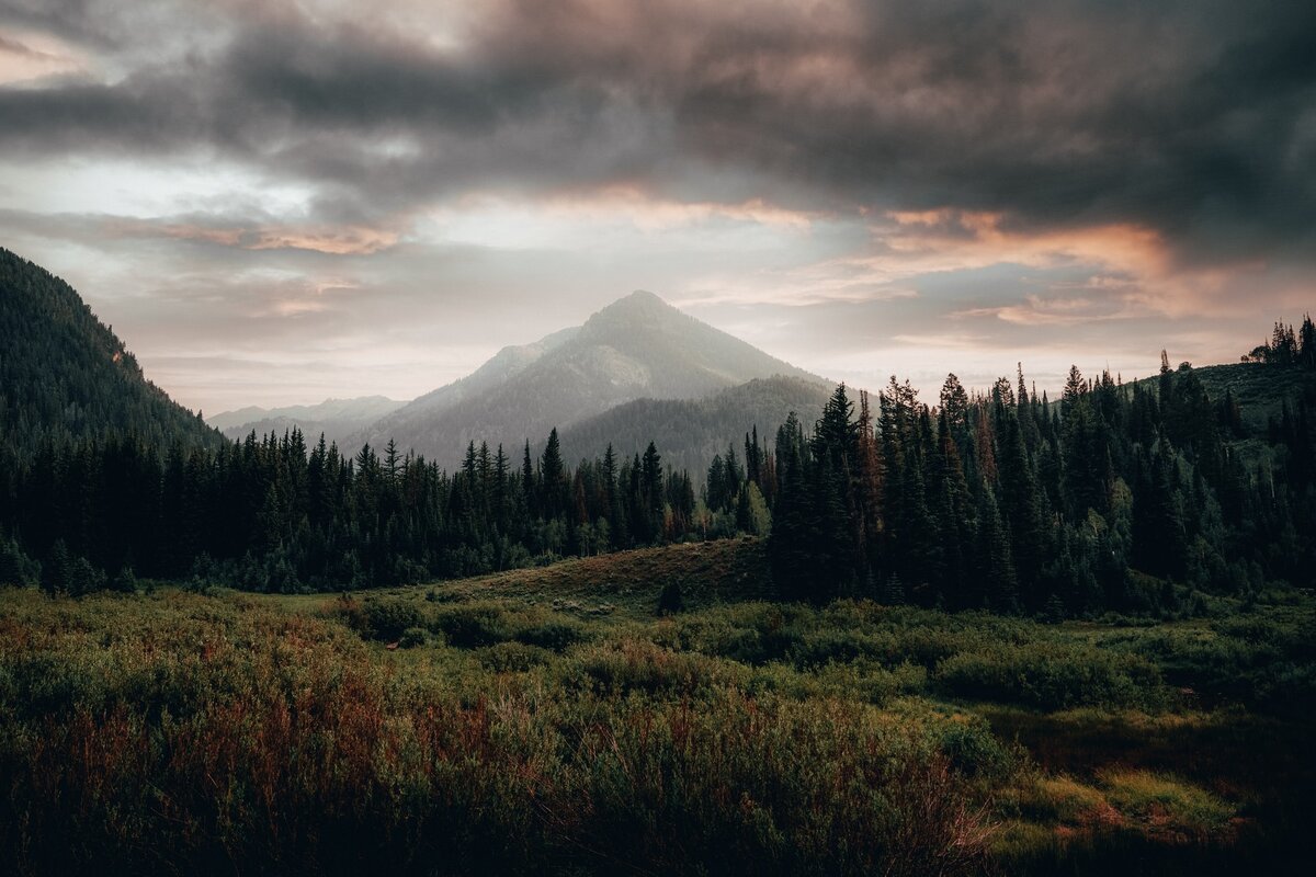 Фото с бесплатного фотоистока https://unsplash.com, автор  Saul Flores