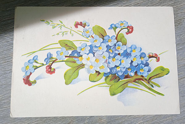 Незабудки. Открытка 1965 года. Издана в тип. "Октообер", Таллин