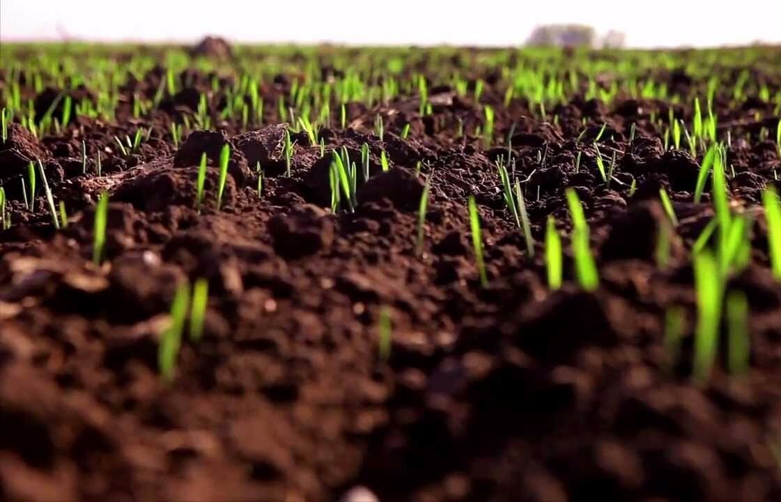 Автор и правообладатель данного изображения: https://regnum.ru/news/3365681.html