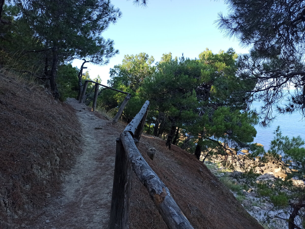 Дорога к дальнему Инжиру