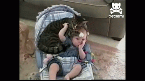 Источник: https://c.tenor.com/JgueCZ8YR60AAAAC/cute-baby.gif