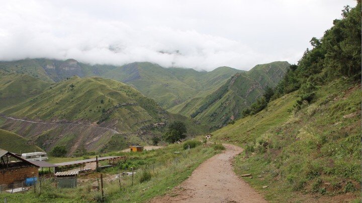 MAKSIM KONSTANTINOV/GLOBALLOOKPRESS