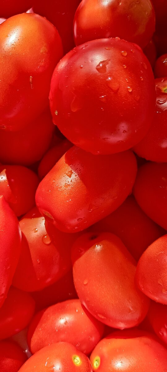 Помидорки желательно брать одного размера и не перезрелые. 