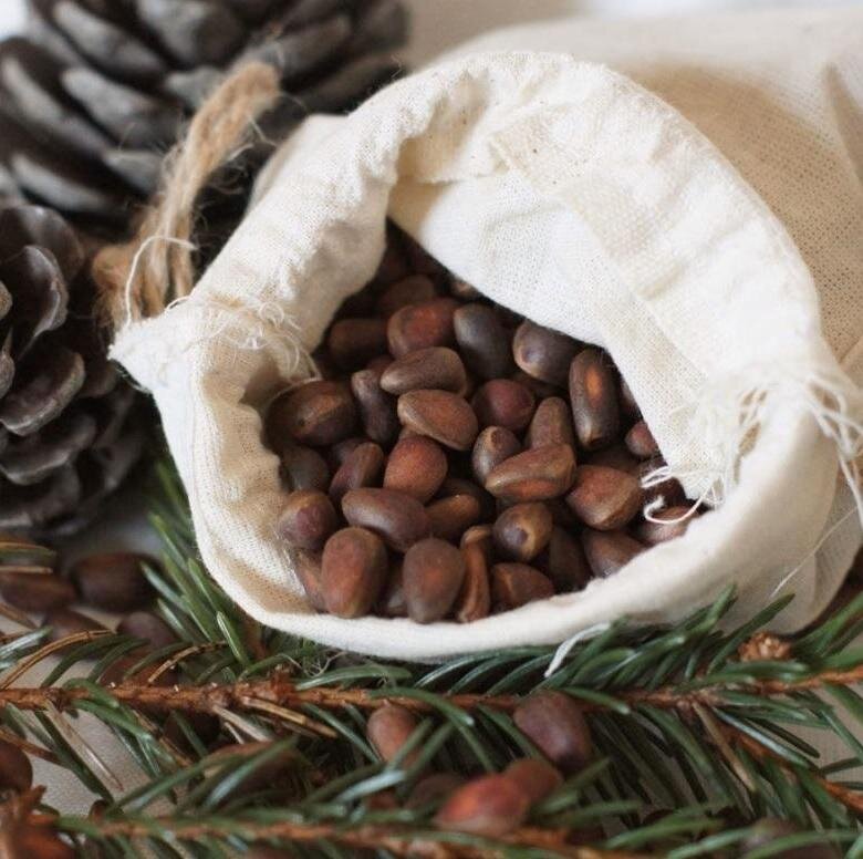 (фото из интернета)