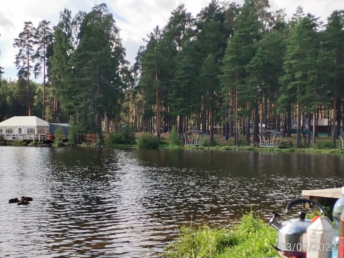 Беседки, которые можно арендовать