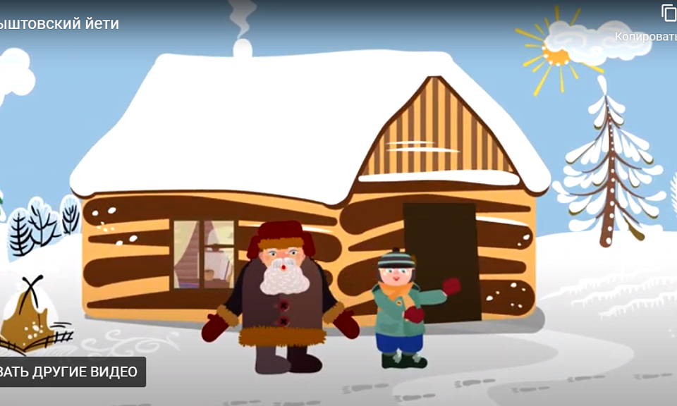 Скрин видео/«Новосибирские новости»