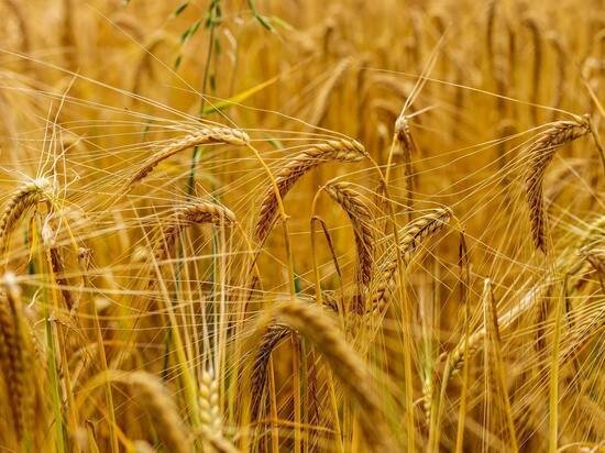     Фото: Alan Godfrey\Unsplash.