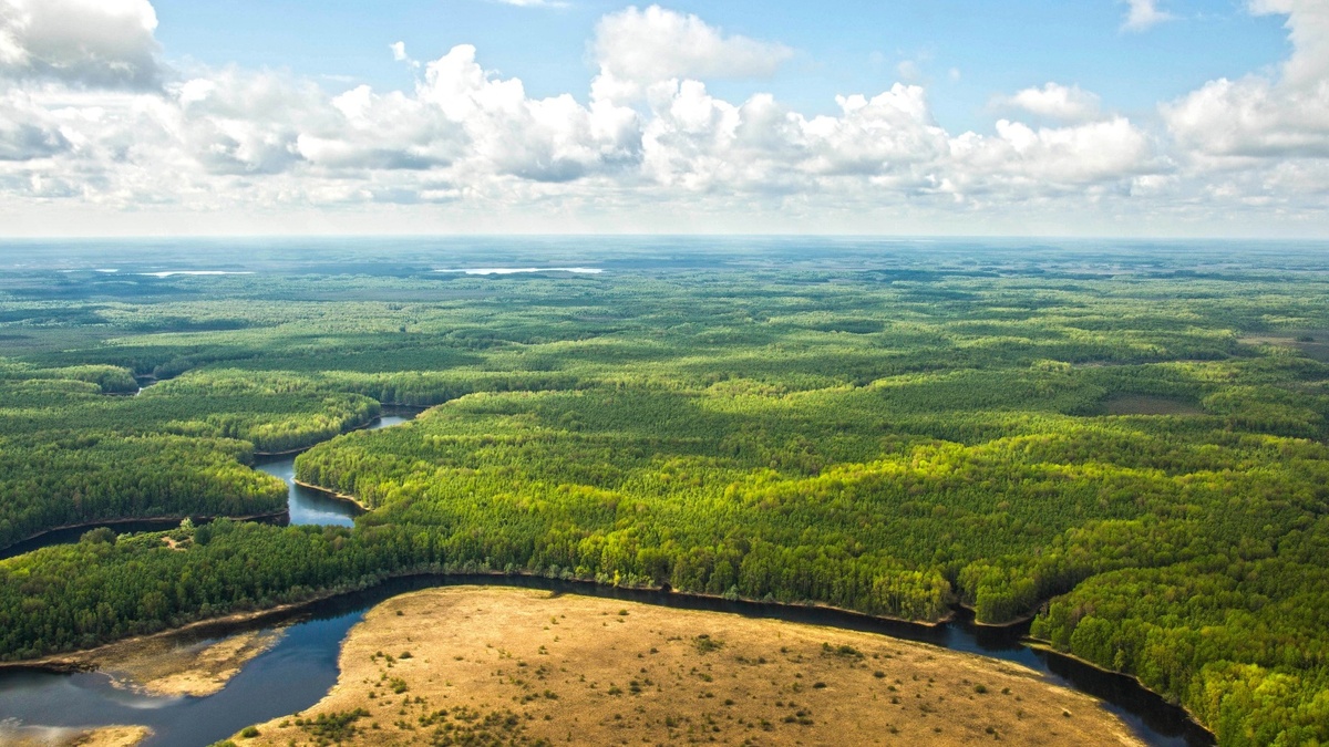     7 сентября отмечается Международный день чистого воздуха, который призван привлечь внимание общественности к проблеме воздействия на атмосферу. В 2022 году в качестве ключевой выбрана тема «Воздух, которым мы дышим», что подчеркивает необходимость международного и регионального сотрудничества.