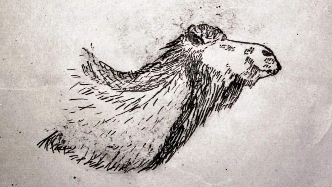 ИА Башинформ