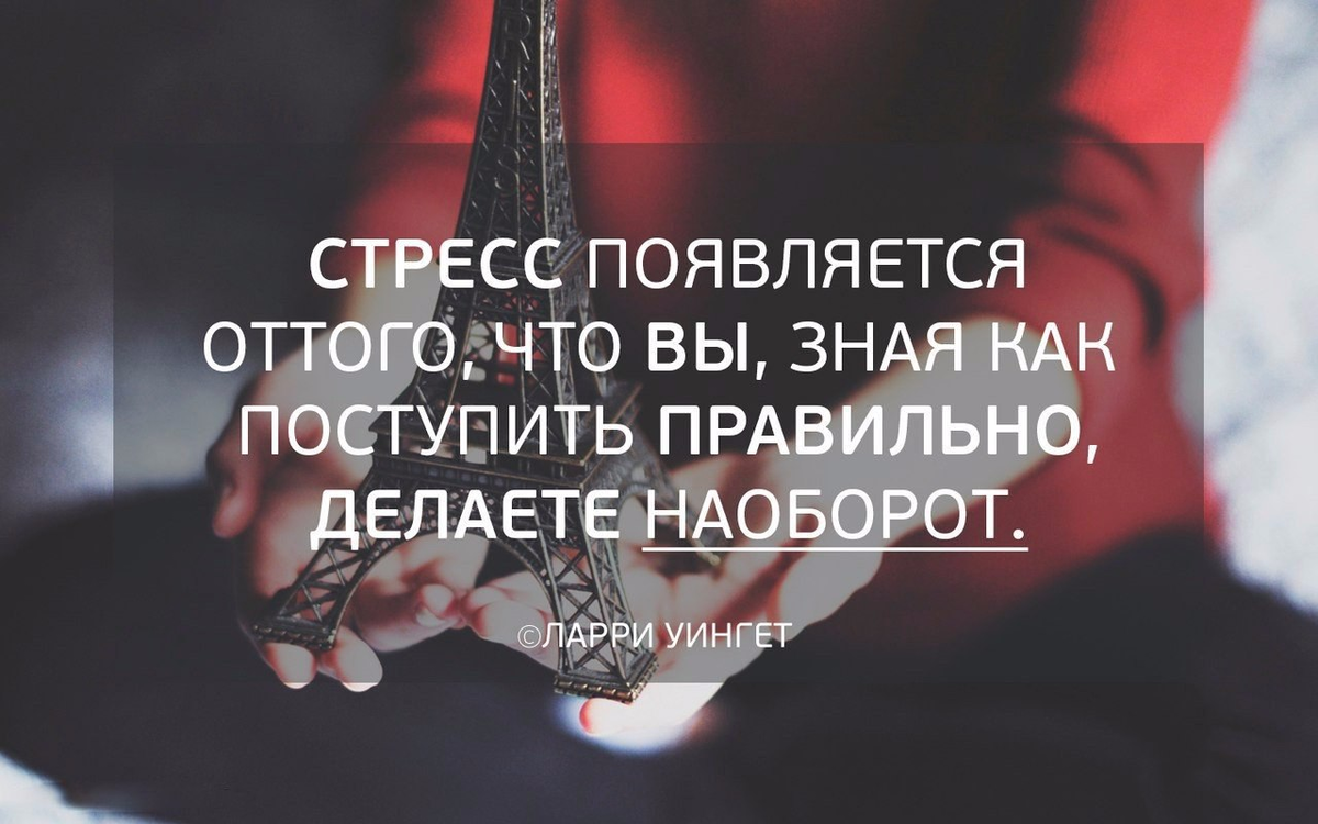 Поступай как знаешь. Фразы про стресс. Высказывания о стрессе. Цитаты про стресс. Стрессоустойчивость фразы.