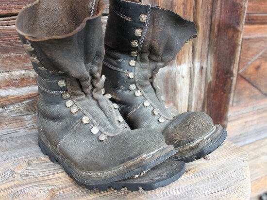    Фото: pixabay.com