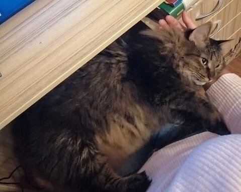 Ну и как тут было устоять?