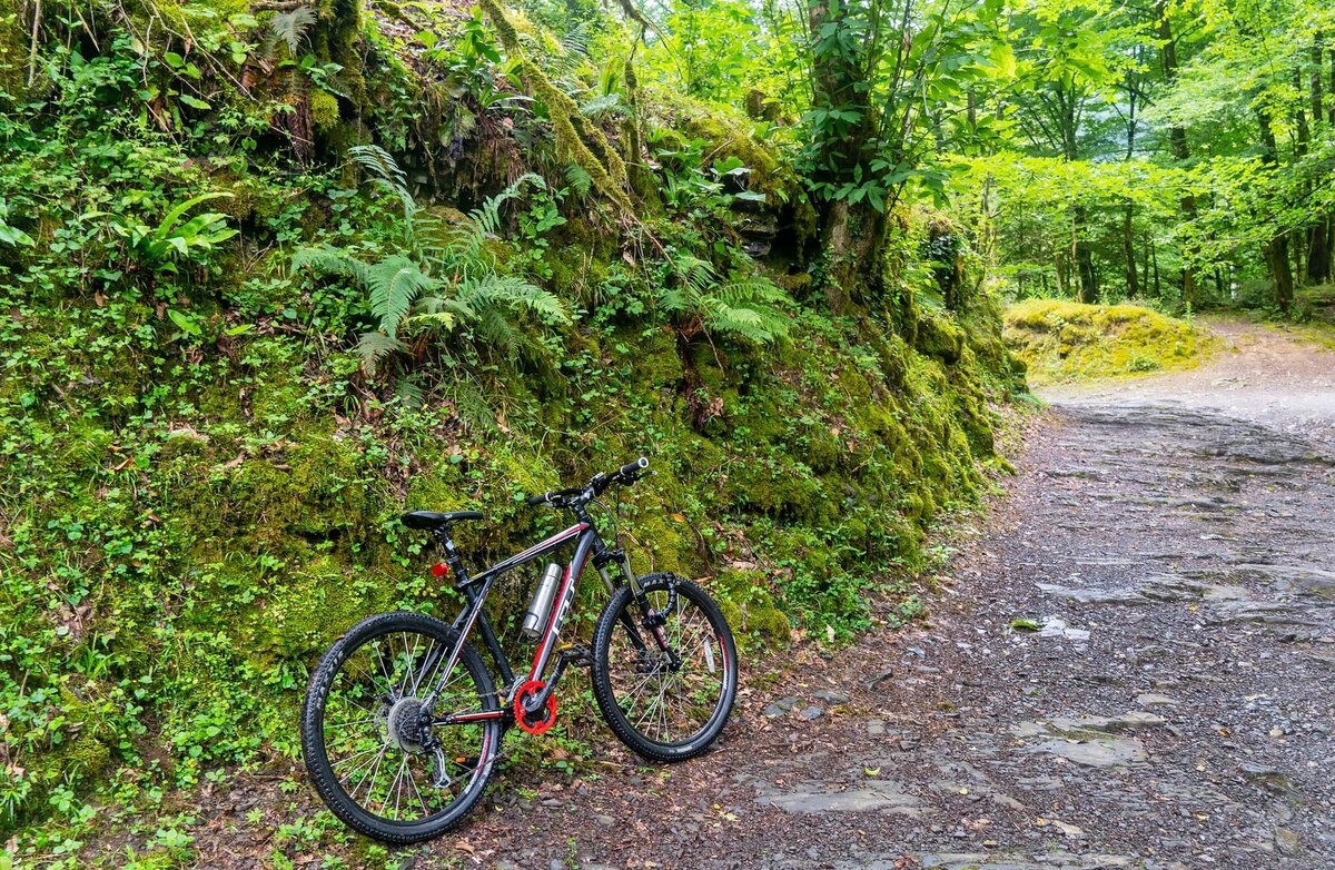 Прогулка на велосипеде