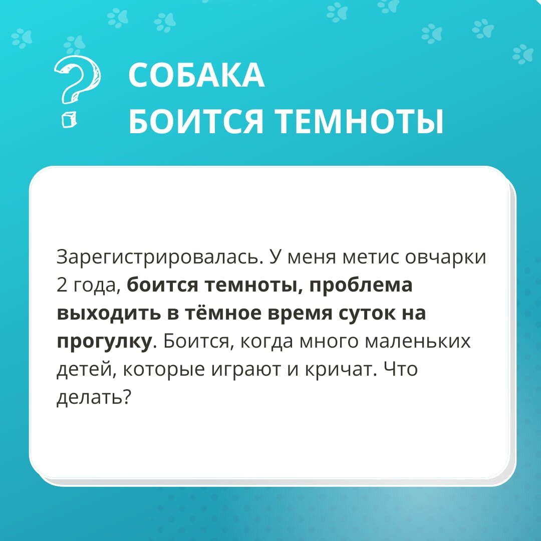 БЕСПЛАТНЫЙ ОНЛАЙН-СЕМИНАР ЕКАТЕРИНЫ ГУРОВОЙ «СТРАХИ И ФОБИИ У СОБАК. ЧТО  ДЕЛАТЬ С ТРЕВОЖНОЙ СОБАКОЙ?» | DogWinner | Дзен