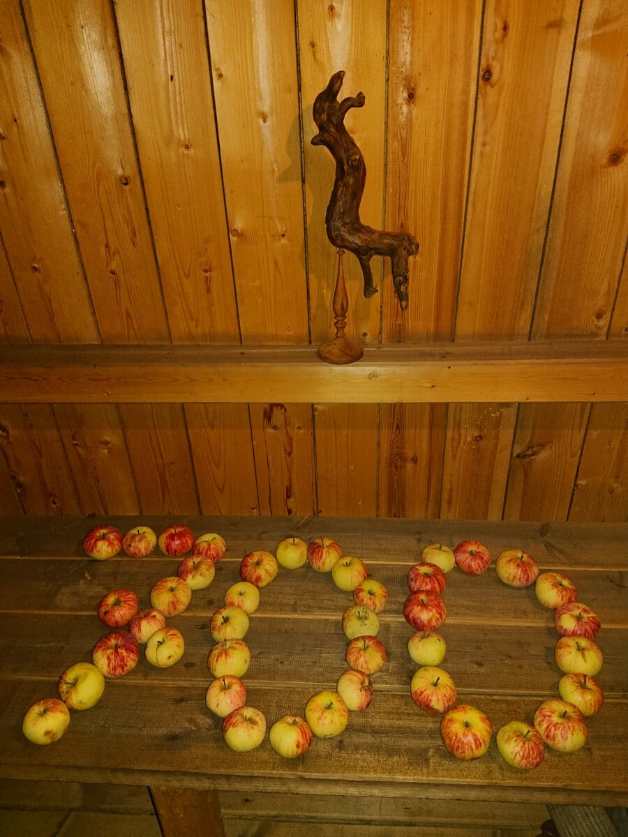 Юбилейный баннер и талисман Трехрожик