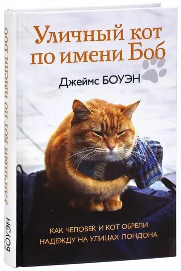 Красивые обложки книг: первая глава новинки «Милли Водович»