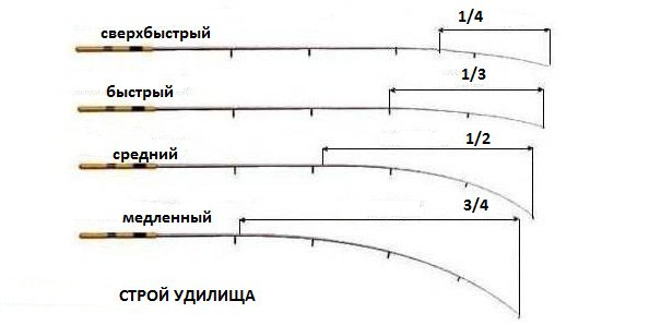 Классификация удилищ по строям. Источник фото - сайт: https://clck.ru/32FCRi
