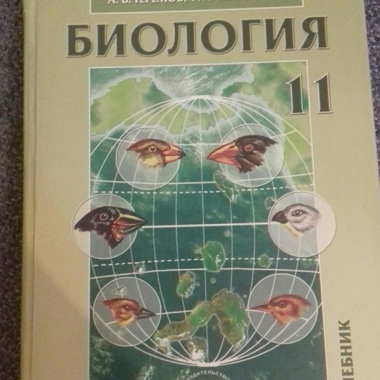 Фото из открытого источника Яндекс 