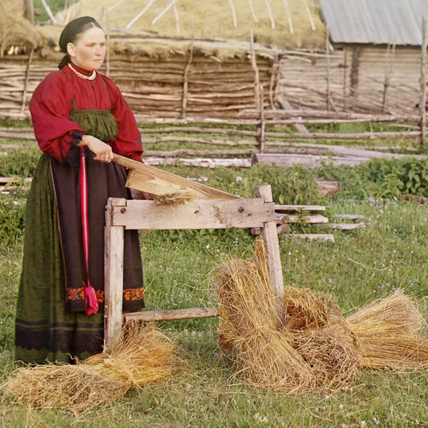 Крестьянка мнет лен, Пермская губерния 