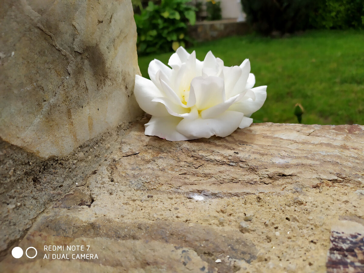 Только ты один в ответе за свою жизнь ...