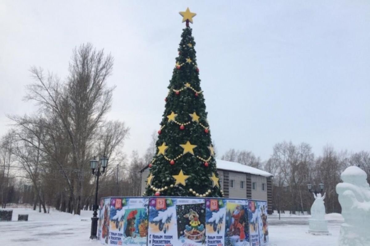    Власти Барнаула рассмотрят вопрос об отмене новогодних гуляний