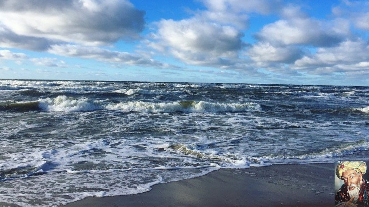 Берег балтийского моря в калининграде. Интересные факты о балтийском море. Балтика балтийское море. Губы балтийского моря. Балтийск море.