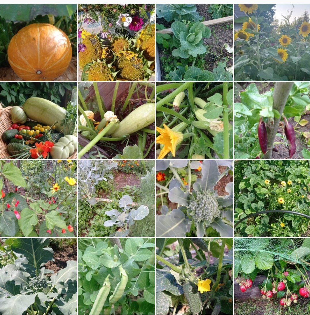 Мой сезон 2022